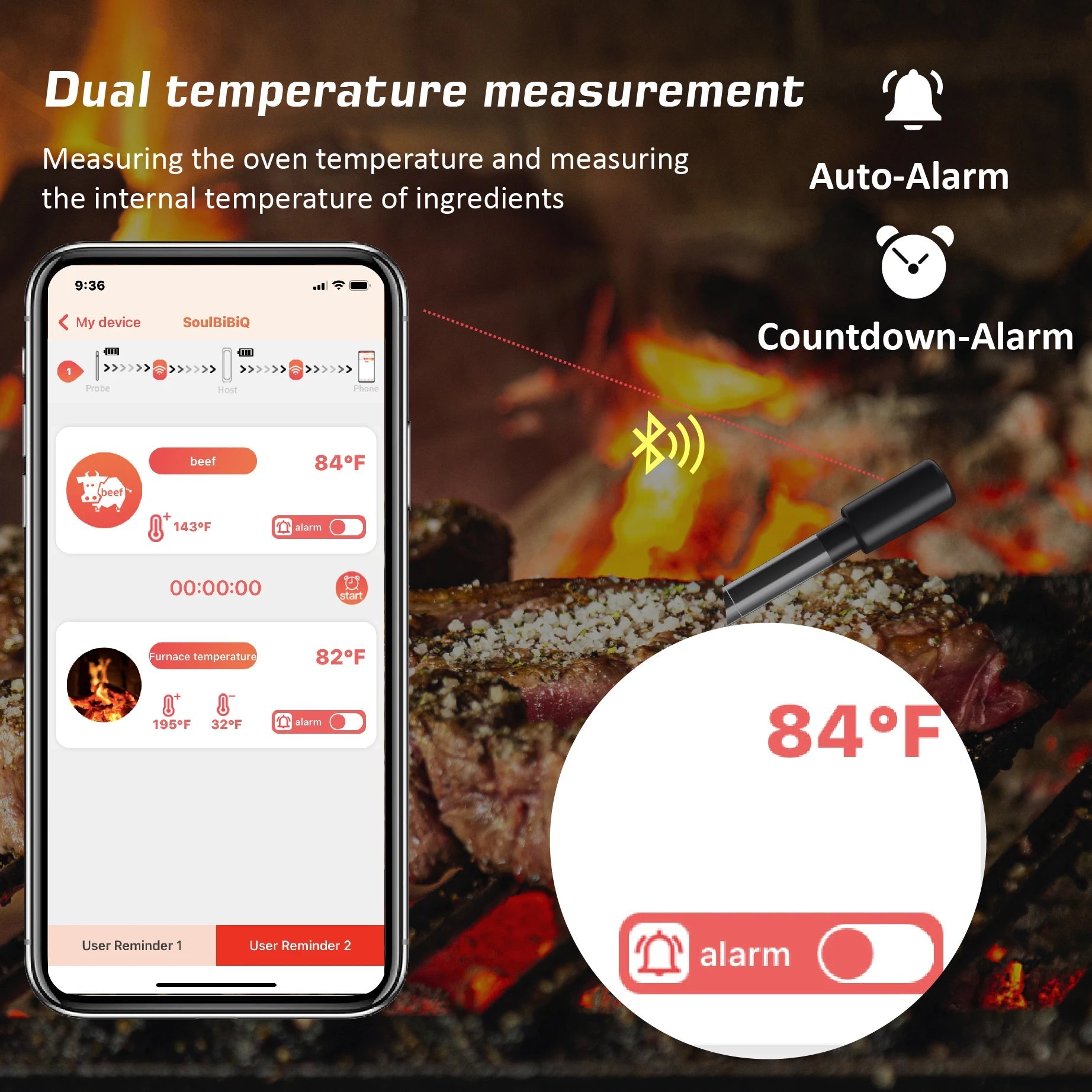 2 - in - 1 Wireless Smart Probe Thermometer - The Legit Pit