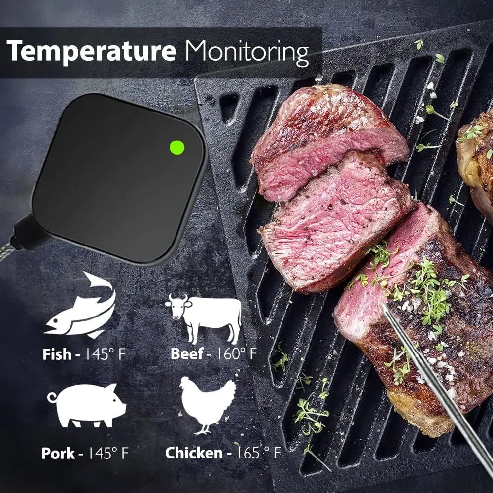 Smart Meat Thermometer with Remote Hub - The Legit Pit