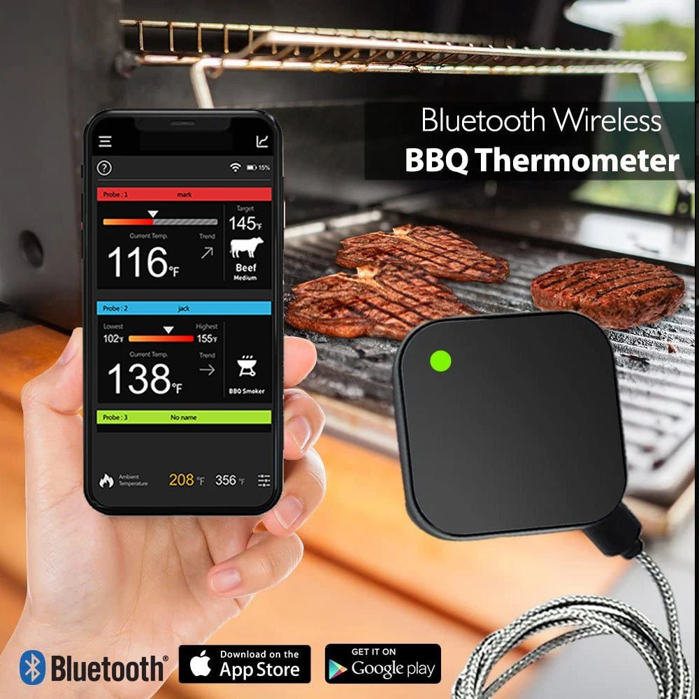 Smart Meat Thermometer with Remote Hub - The Legit Pit